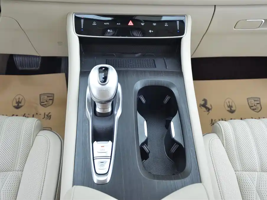 Voyah Auto Voyah Dreamer 2024 PHEV Extended Range Flagship Edition фото 10