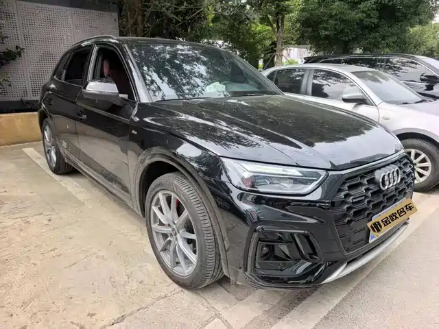 Audi Q5L 2025 45th Anniversary Edition 45 TFSI Luxury Sport — фото 3
