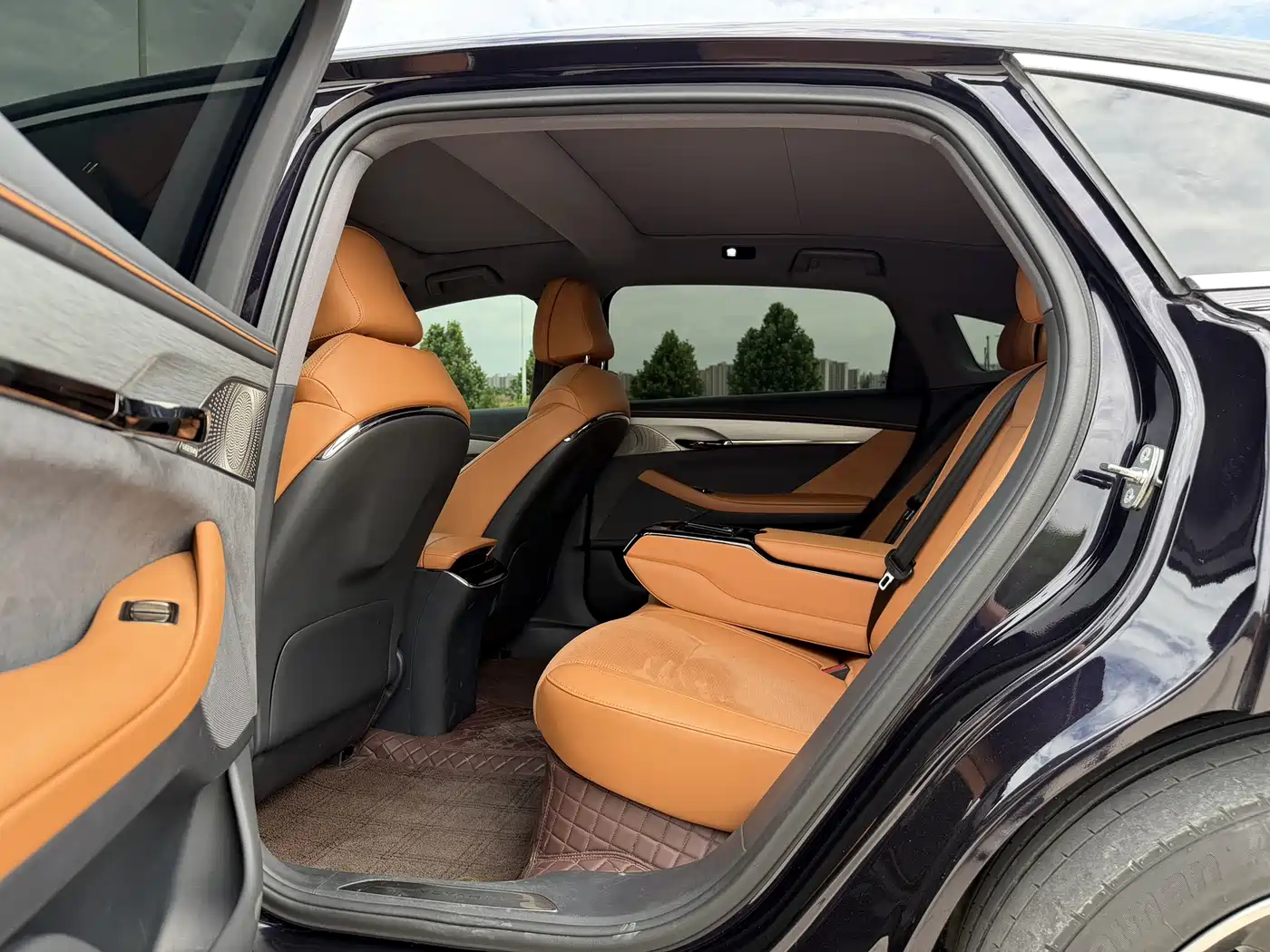 Voyah Auto VOYAH Zhuiguang 2024 PHEV AWD Ultra Long Range Flagship фото 9