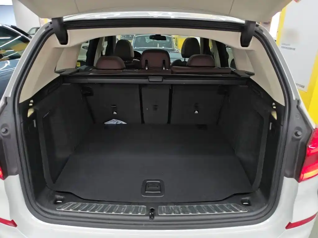 BMW X3 2018 2018 xDrive28i Luxury Package China VI