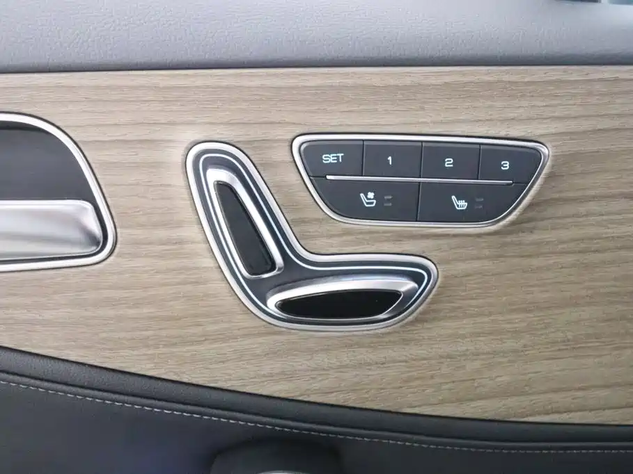 Denza X 2021 2020 Model PHEV Flagship Edition