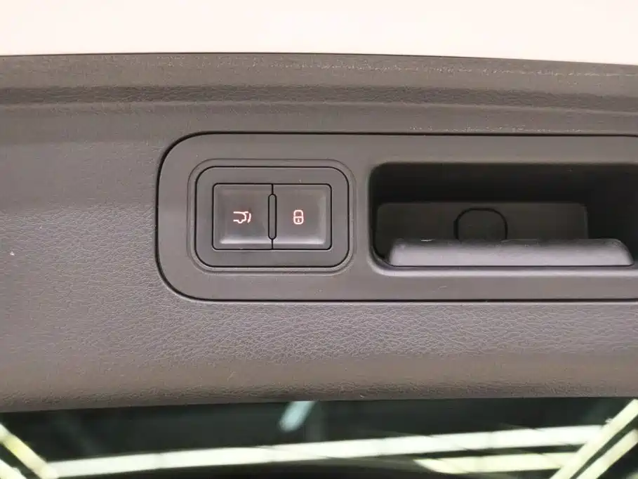 Denza X 2021 2020 Model PHEV Flagship Edition