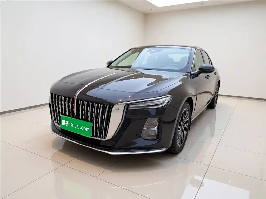 Hongqi H5 2024 2.0T Automatic Smart Connect Flag Smooth Edition фото 2
