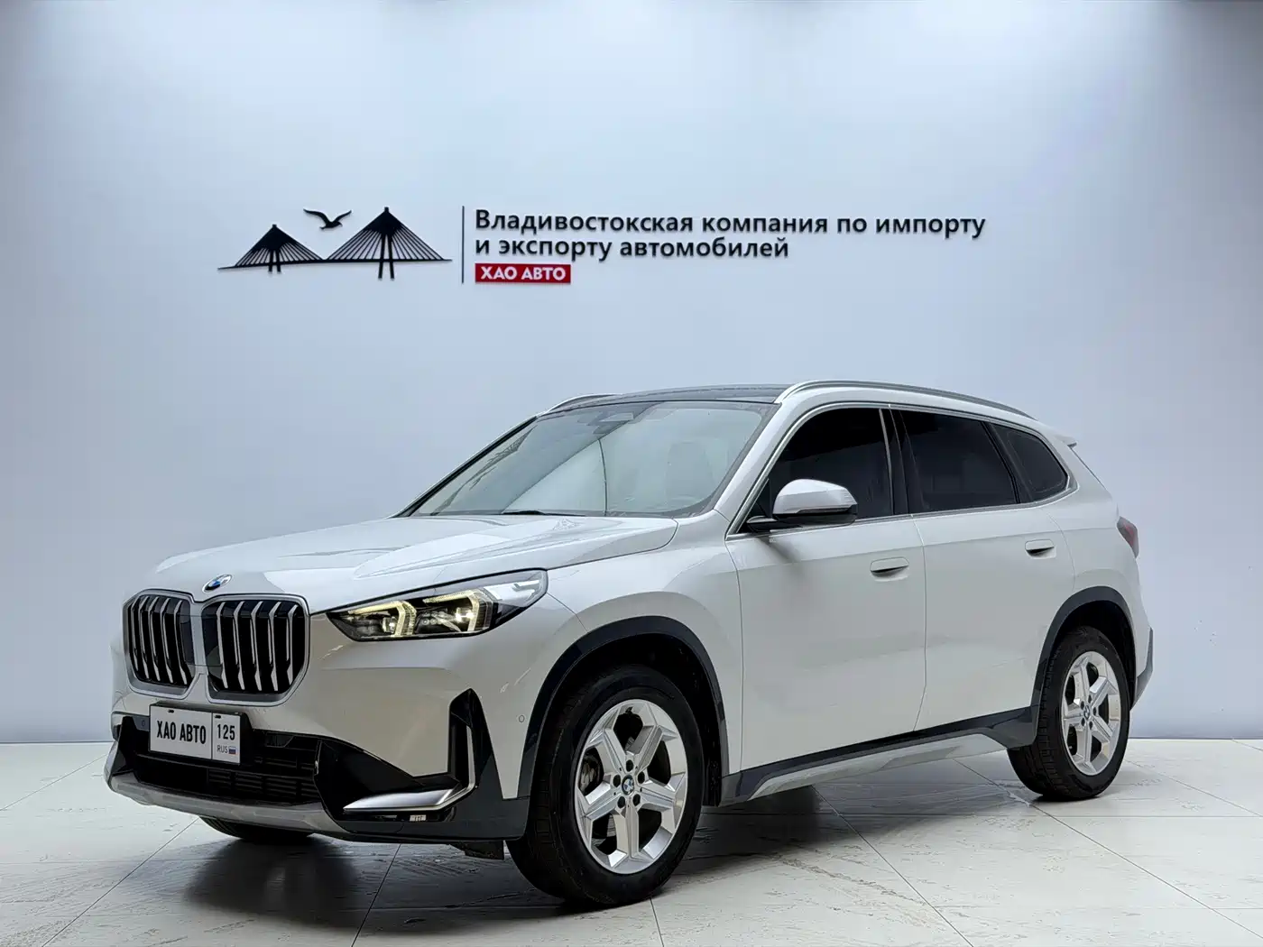 BMW BMW X1 2023 sDrive20Li X Design Package