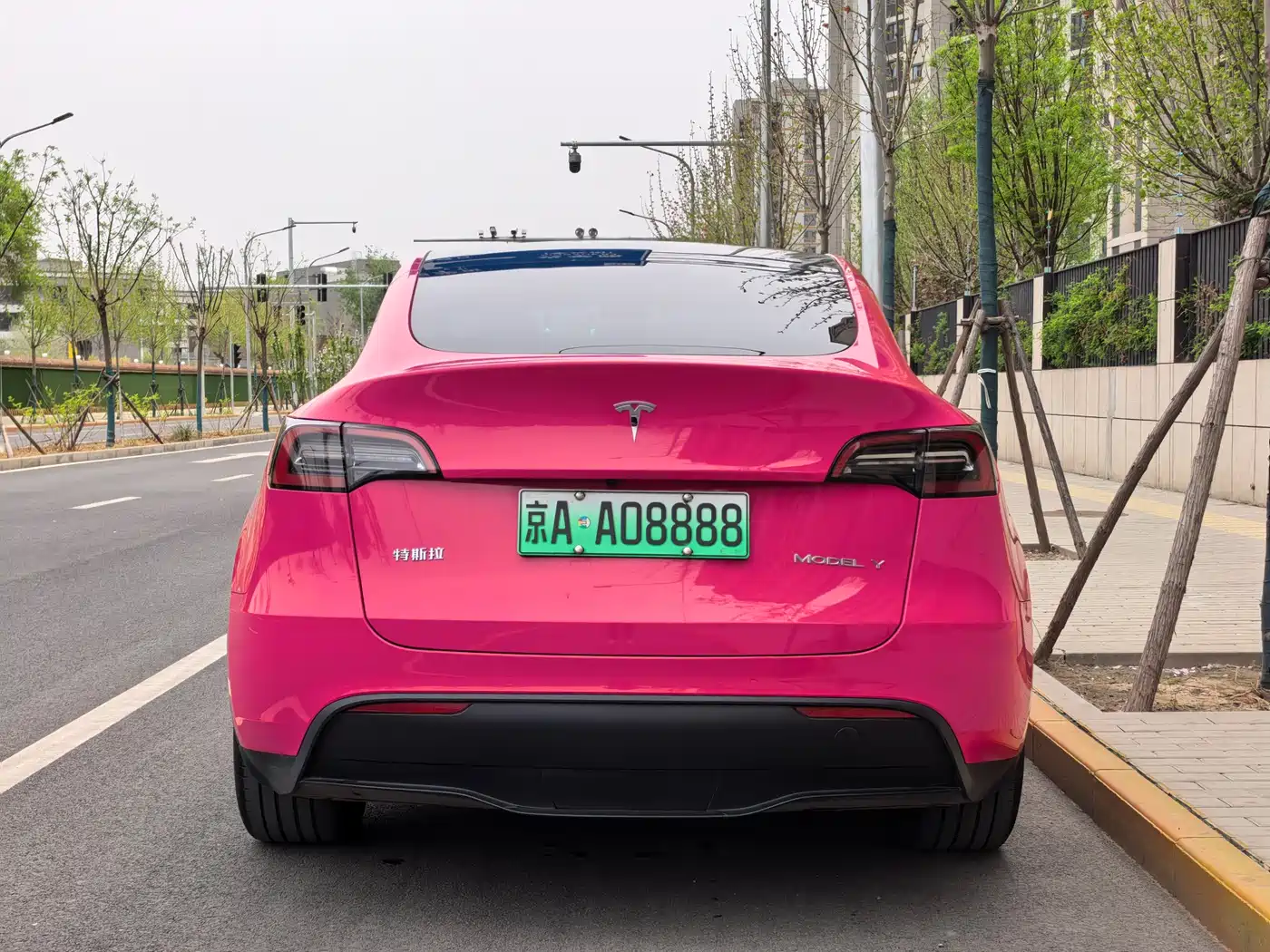 TESLA MODEL Y