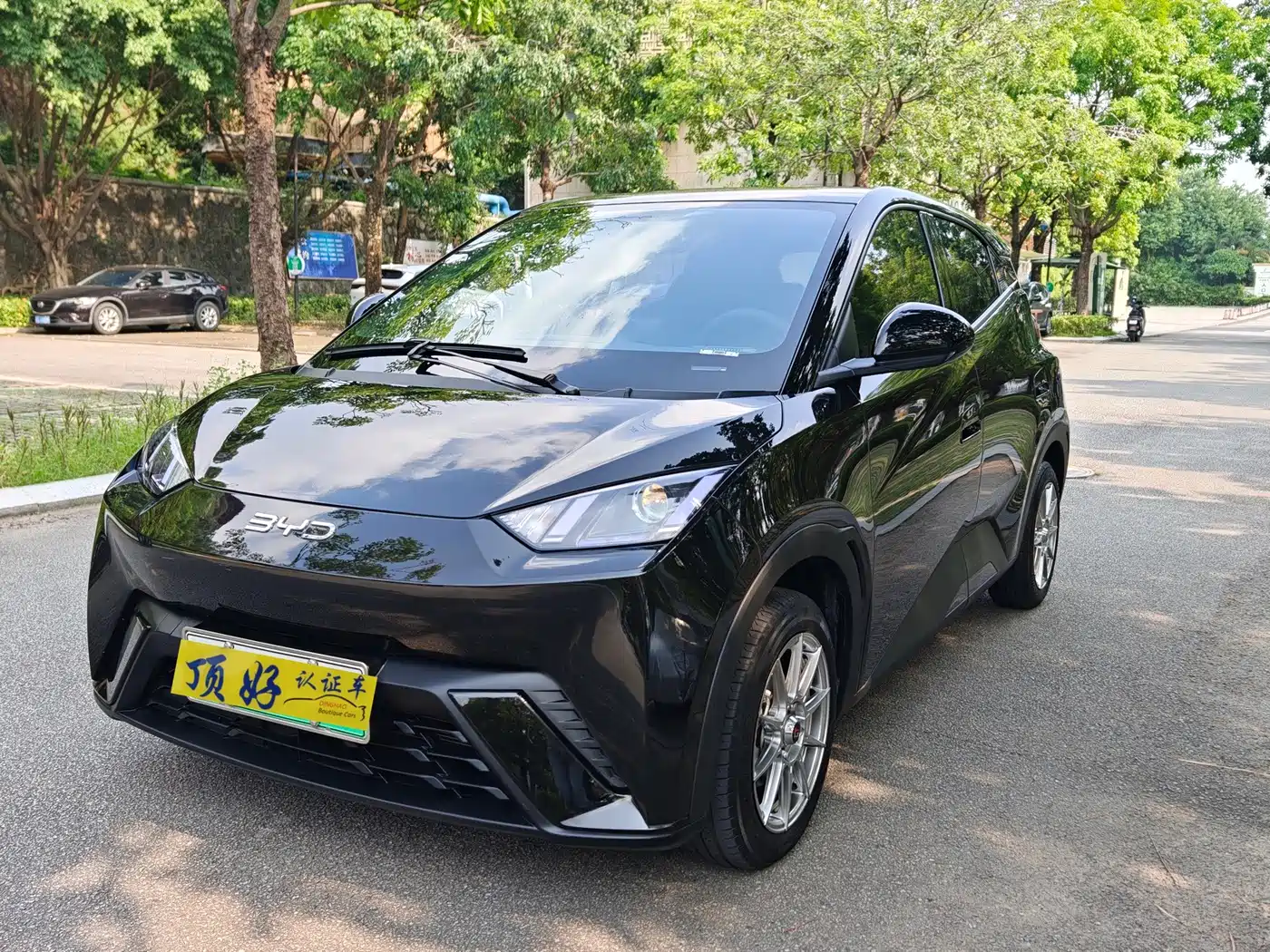 BYD Seagull 2024