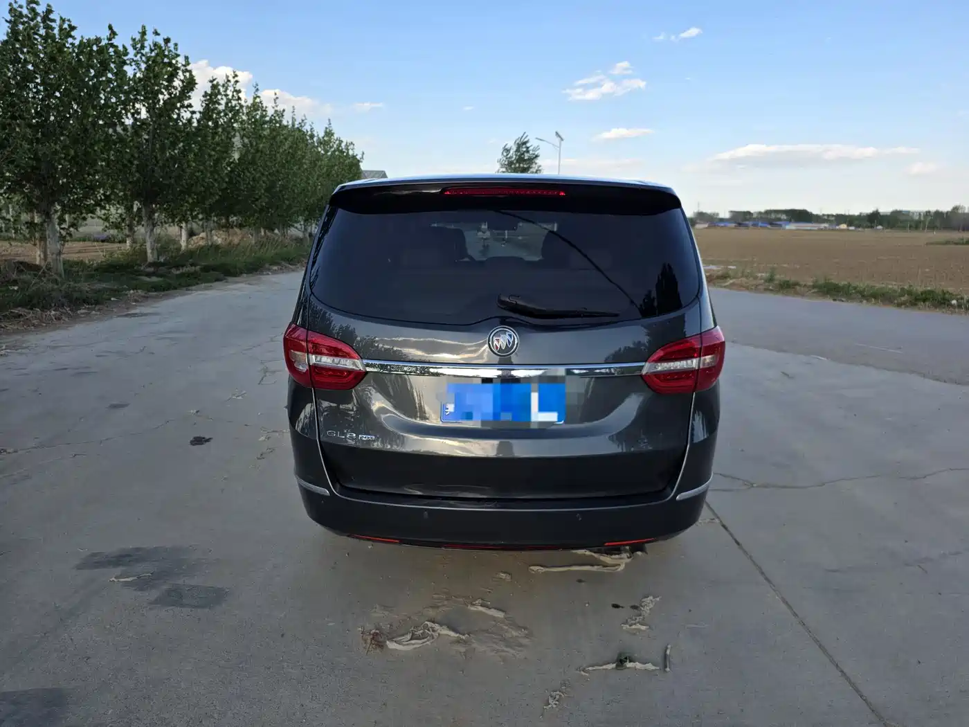 Buick GL8 2018 28T Luxury Model China VI фото 6