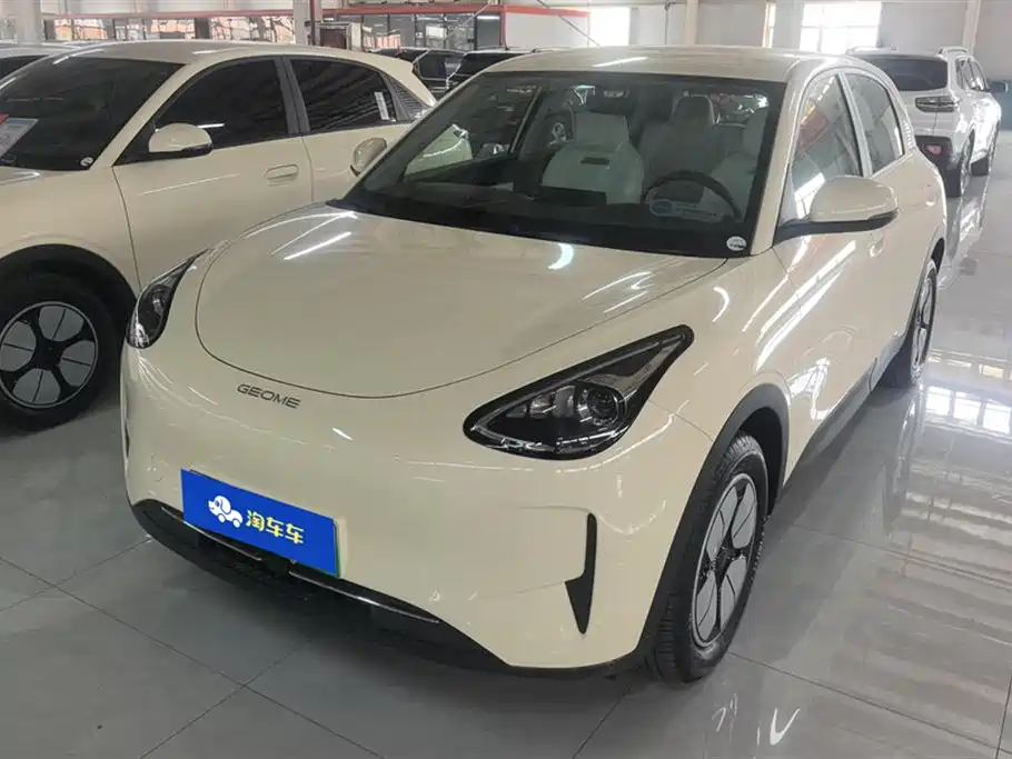 Geely Galaxy Starry Wish 2025 310km Youth Edition