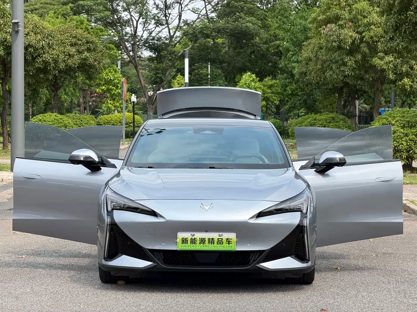 ARCFOX EXTREME FOX POLAR FOX ALPHA S5