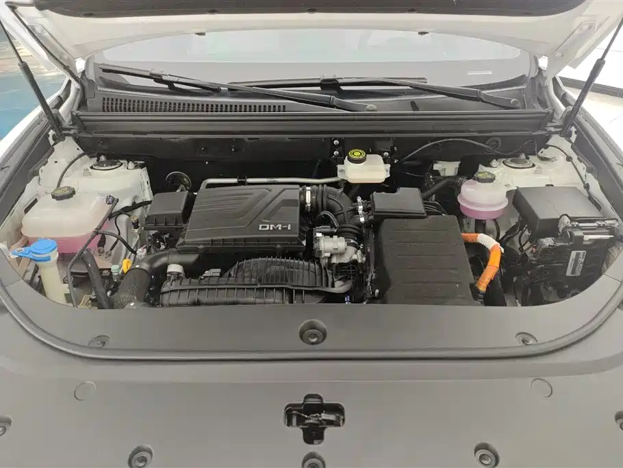 BYD Song Pro New Energy 2024 Glory Edition DM-i 71KM Pilot фото 10