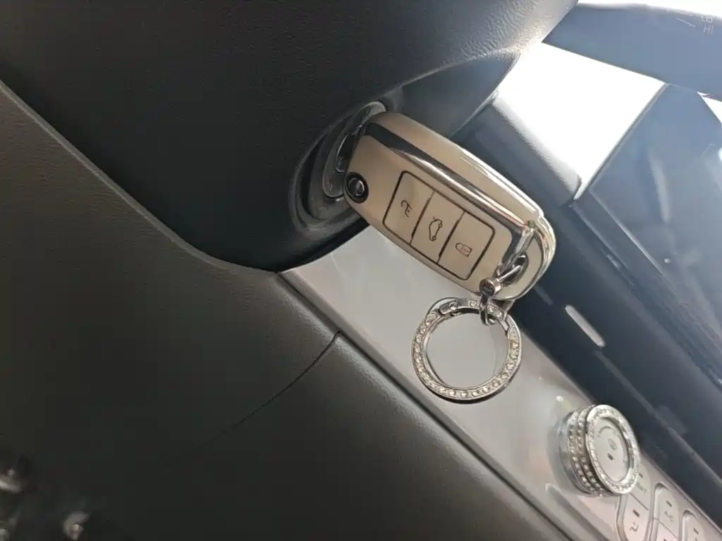 Changan Lumin 2025 2025 205km Fragrant Infusion Edition