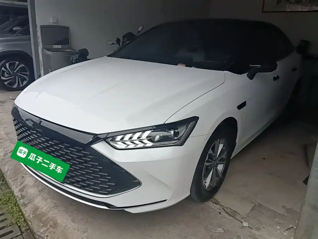 BYD Qin PLUS 2024 Glory Edition DM-i 55KM Leading фото 2