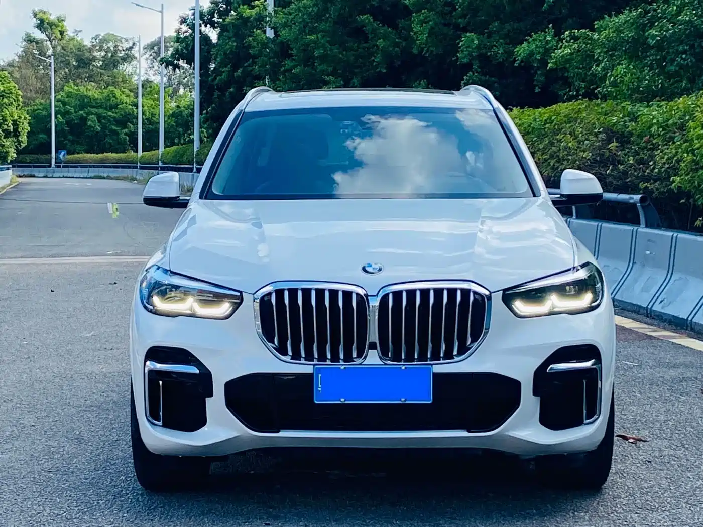 BMW X5 2022 2022 xDrive 30Li M Sport Package