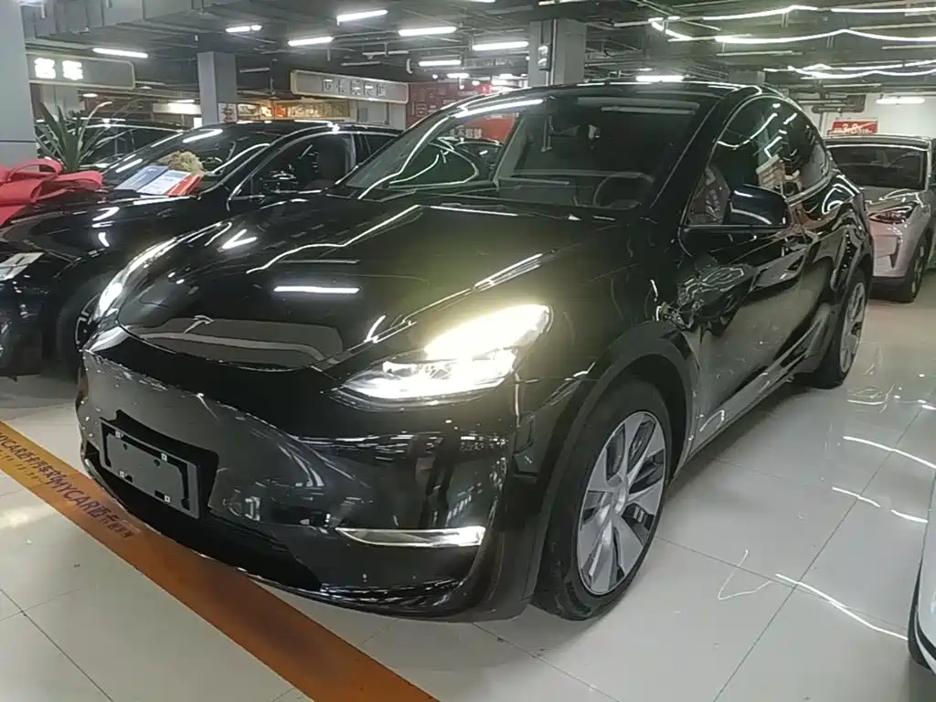 Tesla Model Y 2021 Standard Range Rear-Wheel Drive