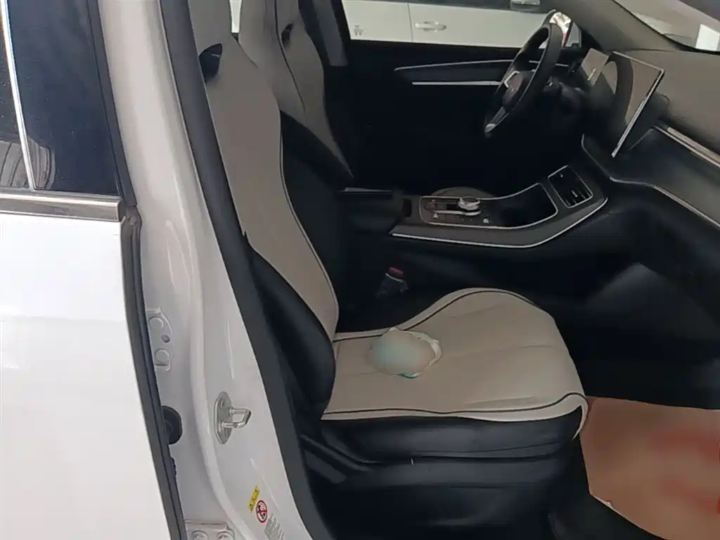 BYD Destroyer 05 2024 Glory Edition DM-i 55KM Luxury фото 25