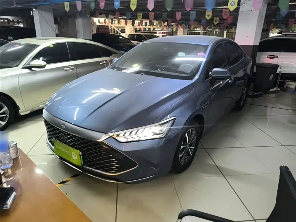 BYD Qin PLUS 2024 Glory Edition DM-i 55KM Leading фото 2