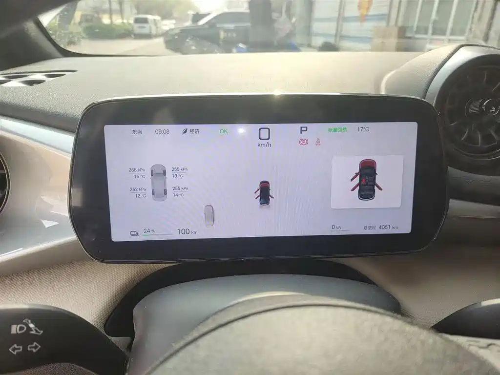 BYD Dolphin 2025 Smart Drive Edition 420km Freedom Version фото 12