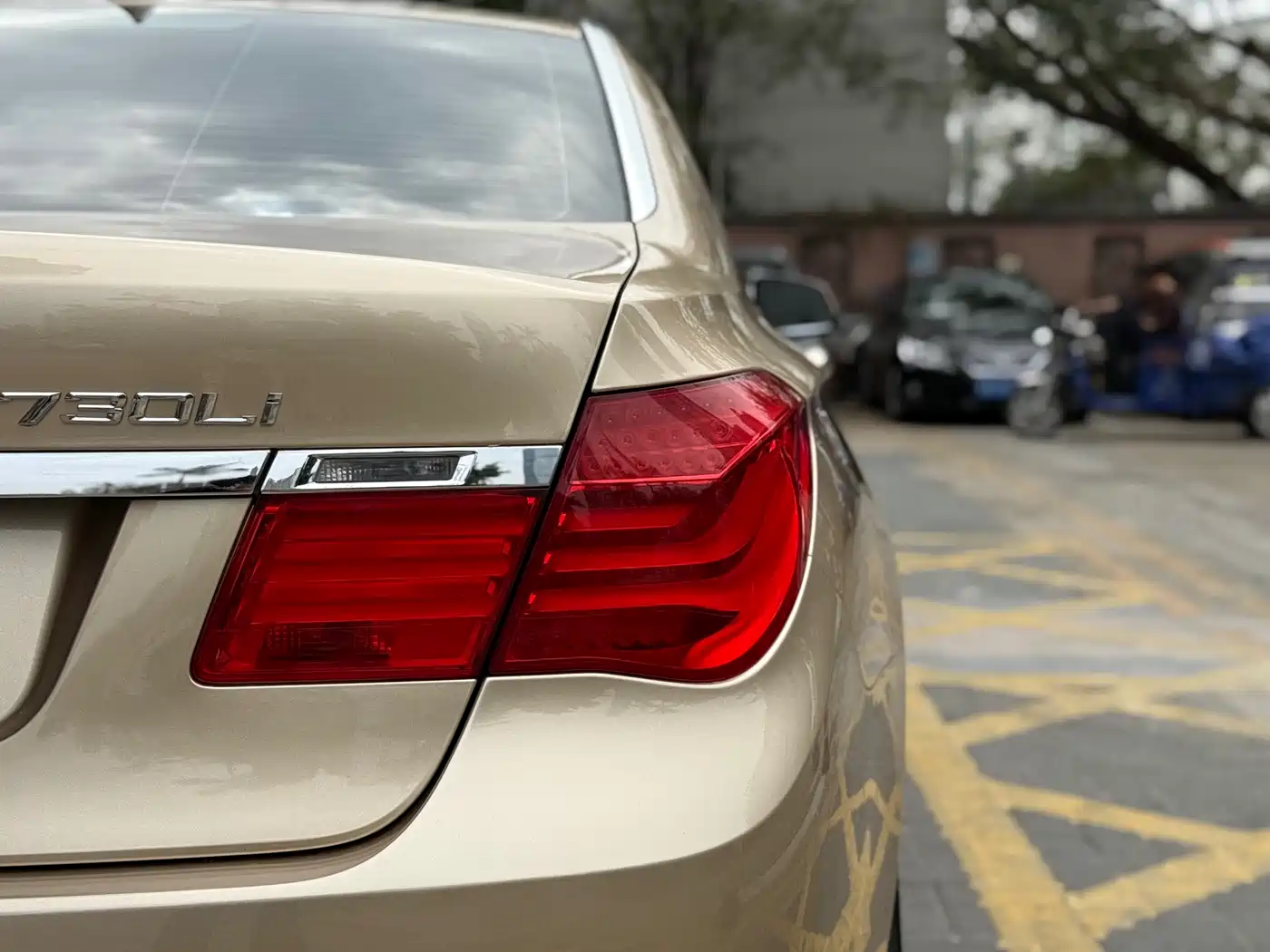 BMW 7 Series 2009 730Li Leading фото 22