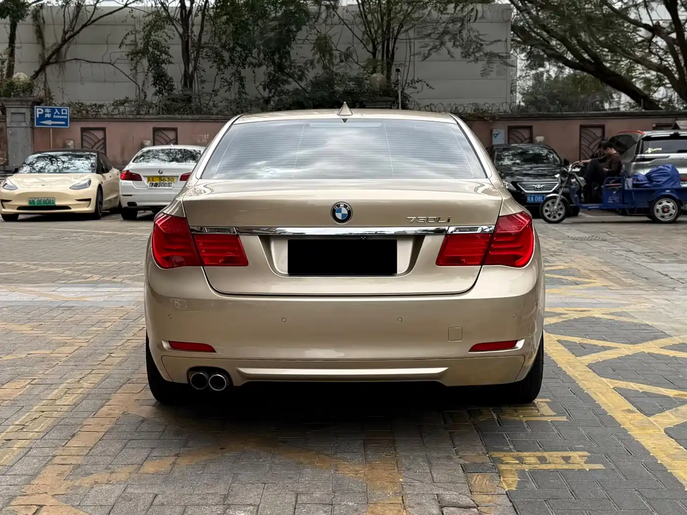 BMW 7 Series 2009 730Li Leading фото 24