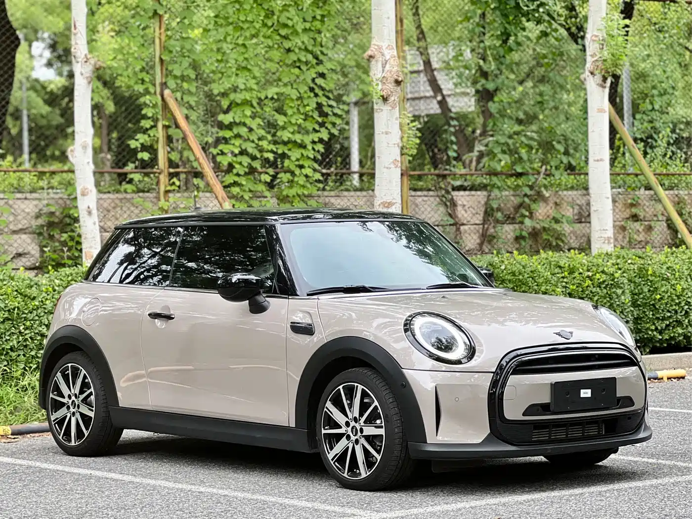 MINI MINI 2023 2023 1.5T COOPER Artist