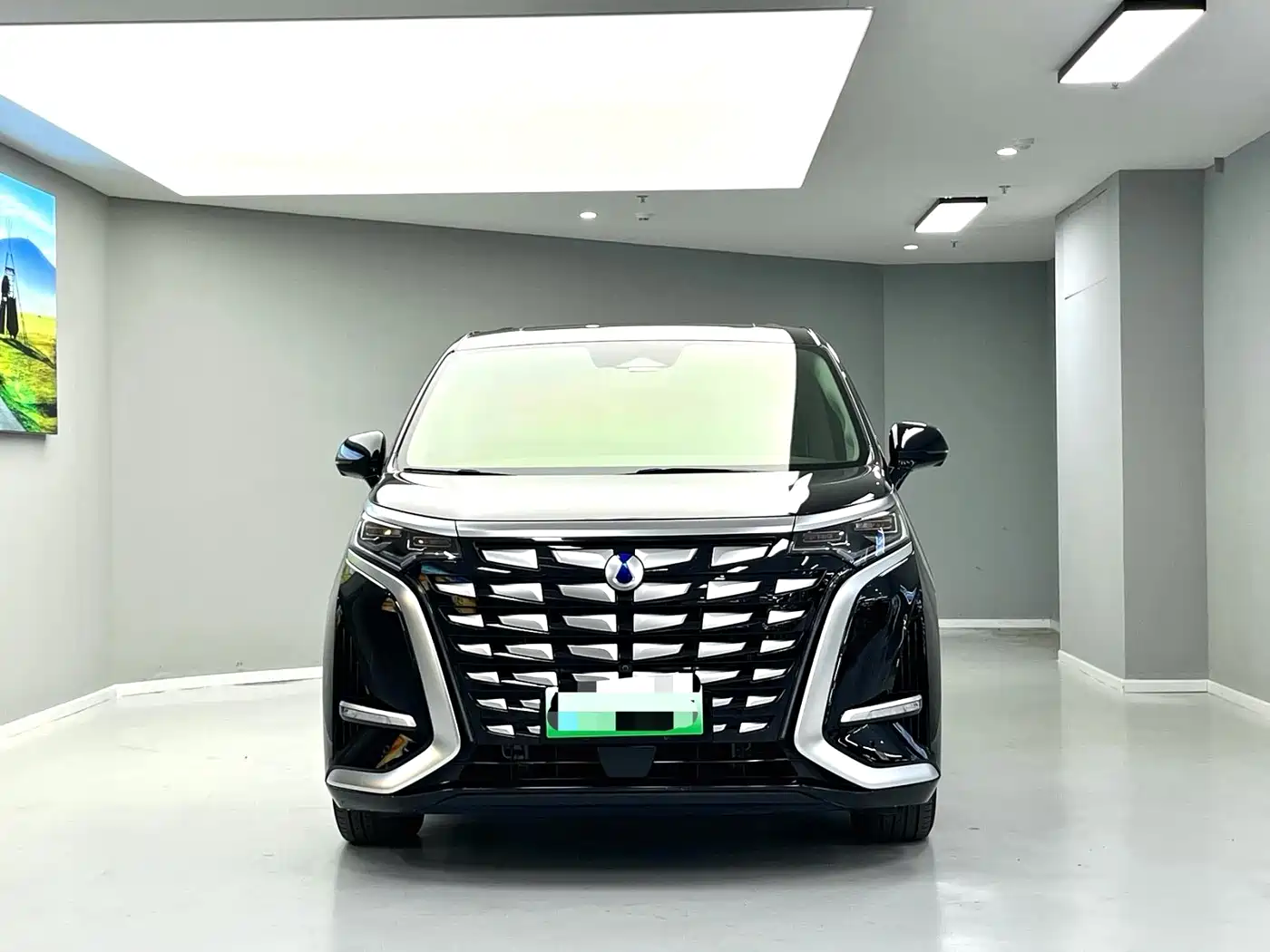 Denza D9 2022 DM-i 970 AWD Flagship фото 2