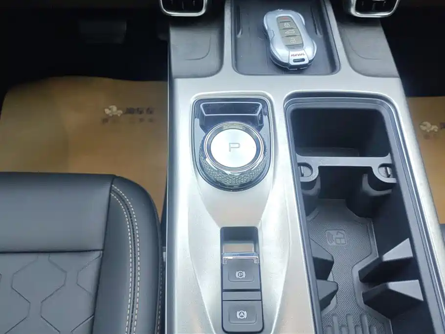Haval Big Dog 2024 1.5T DCT Border Collie Edition фото 16