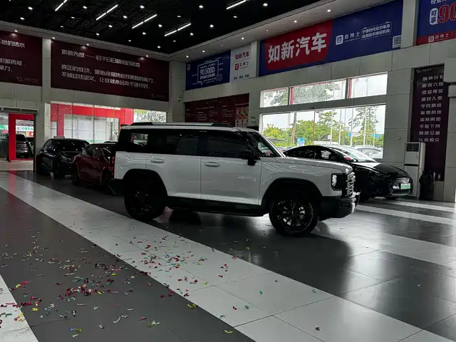 Haval Meng Long NEV 2024 Hi4 145 Pro — фото 3