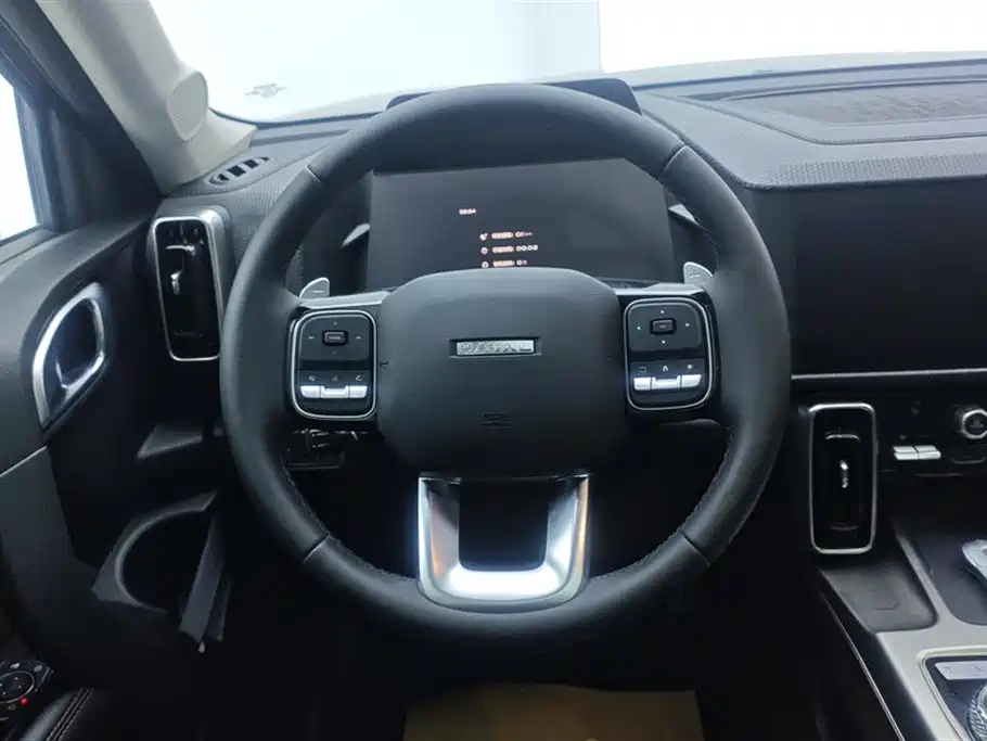 Haval Big Dog 2024 1.5T DCT Border Collie Edition фото 15