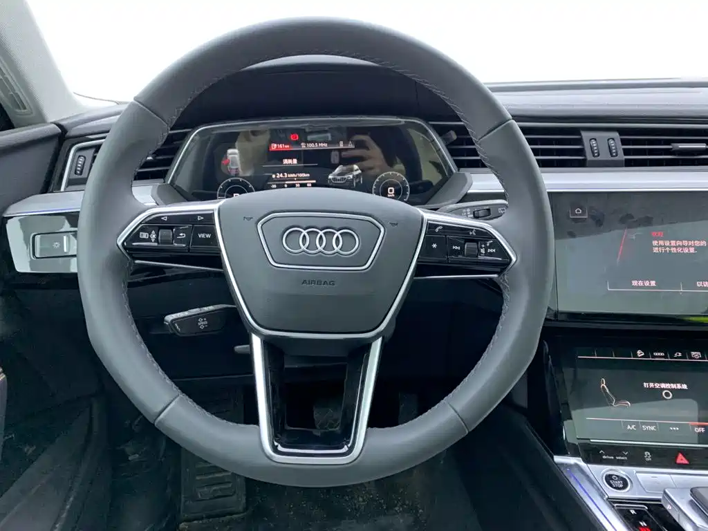 Audi e-tron 2026 2021 50 quattro Luxury