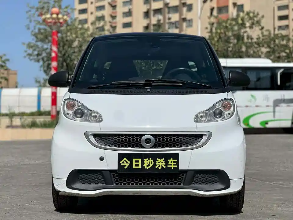 smart fortwo 2013 2013 1.0T Hardtop Ice Special Edition
