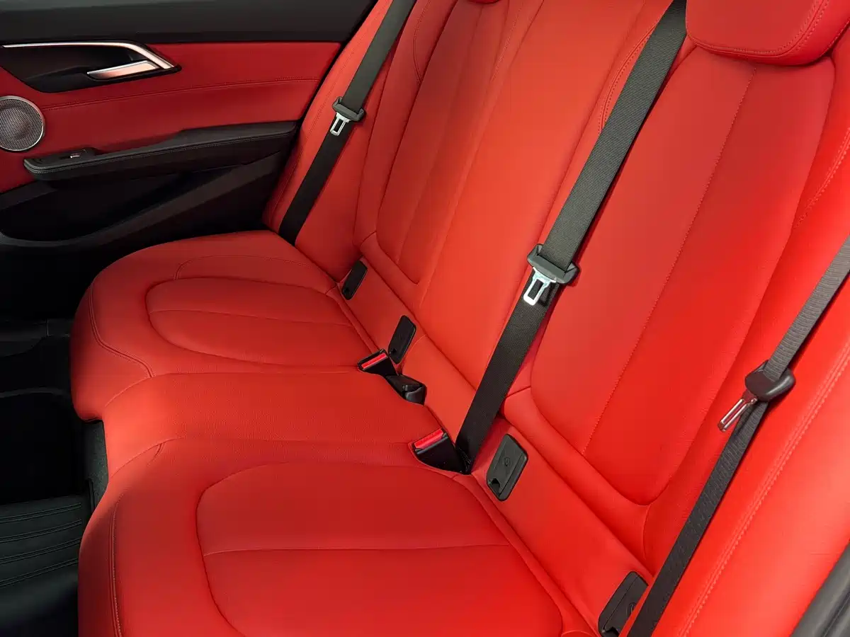 BMW 1 Series 2021 125i M Sport Black Night Edition фото 8