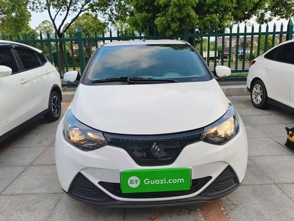 JMCG New Energy Little Kirin 2025 2024 201km Comfort Model
