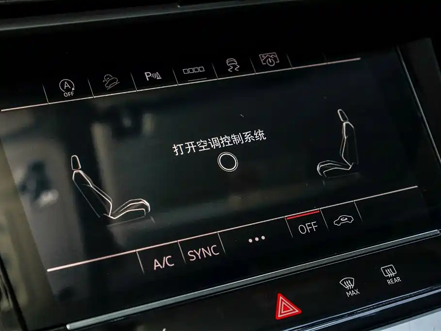 Audi Q6 2024 40 TFSI quattro Cloud View Yulin Package 7-seater фото 17