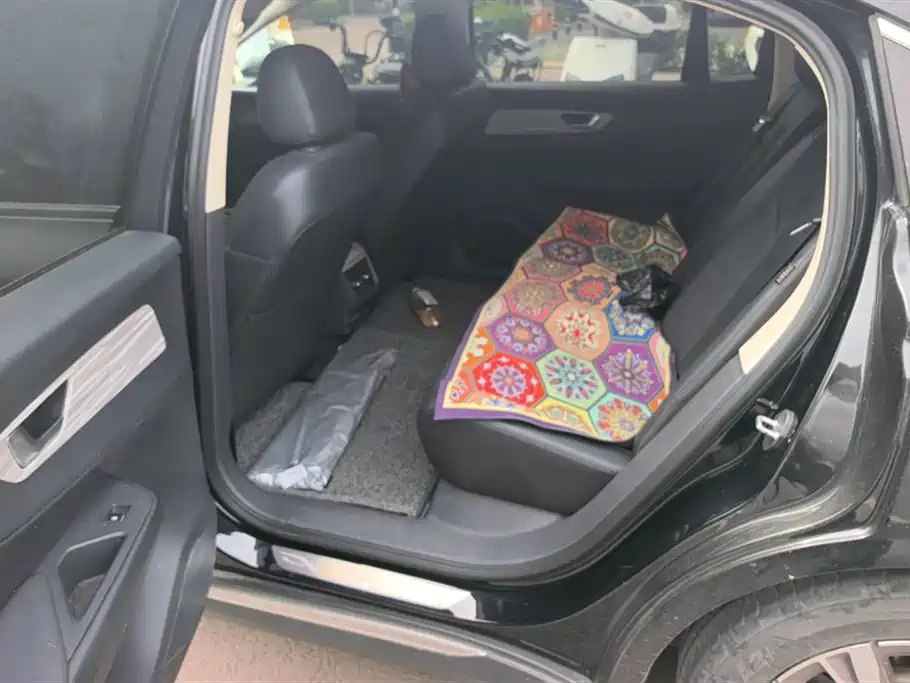 Hongqi E-QM5 2023 620km PLUS фото 11