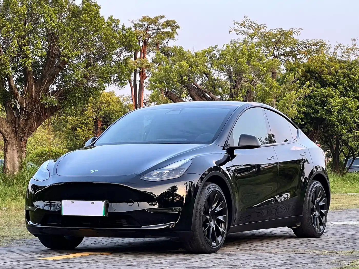 Tesla Model Y 2021 2021 Standard Range Rear-Wheel Drive