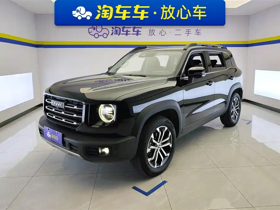 Haval Big Dog 2021 1.5T DCT 2WD Border Collie - Wangcai Edition