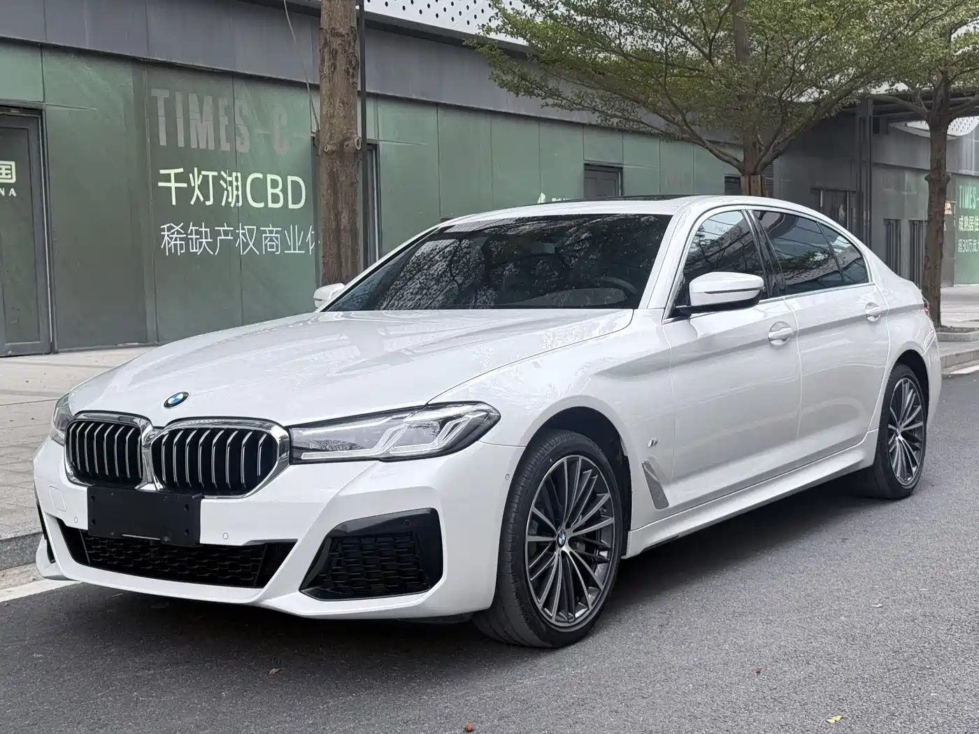 BMW 5 Series 2023 530Li Leading Luxury Package