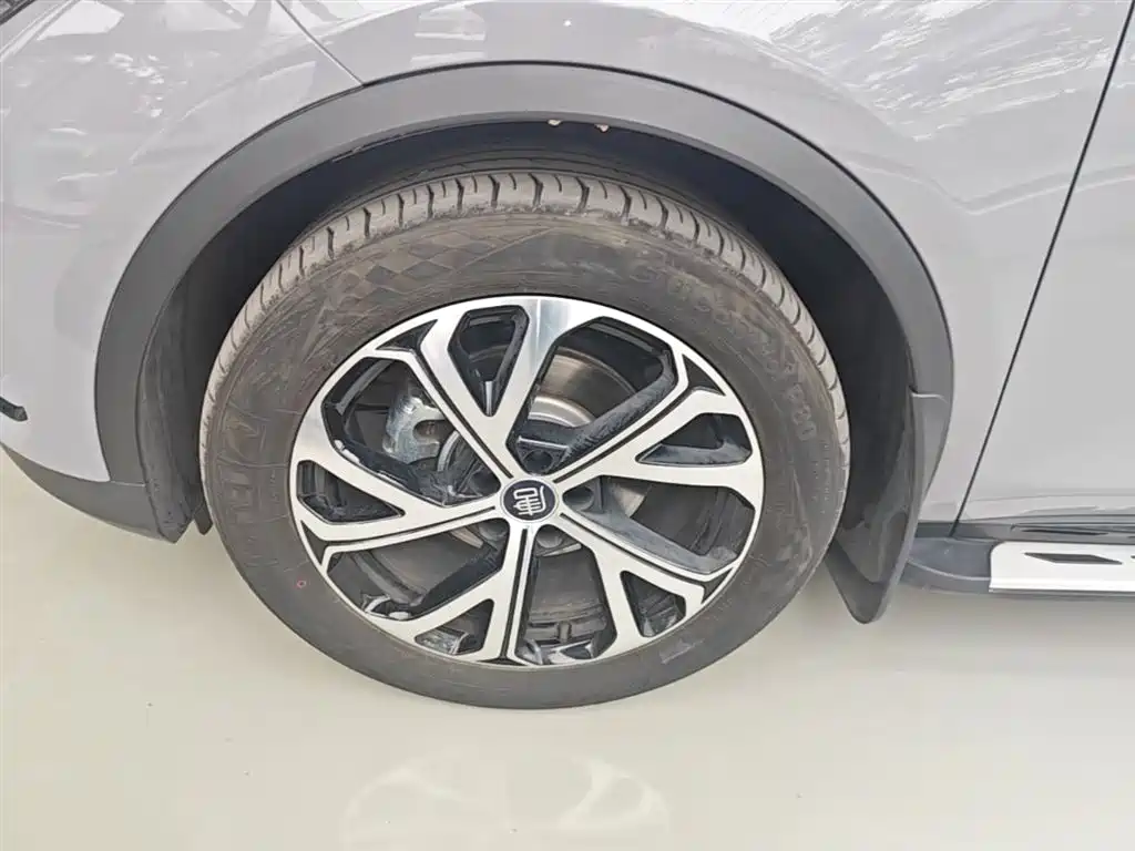 BYD Tang New Energy 2025 DM-i 115KM Premium фото 23