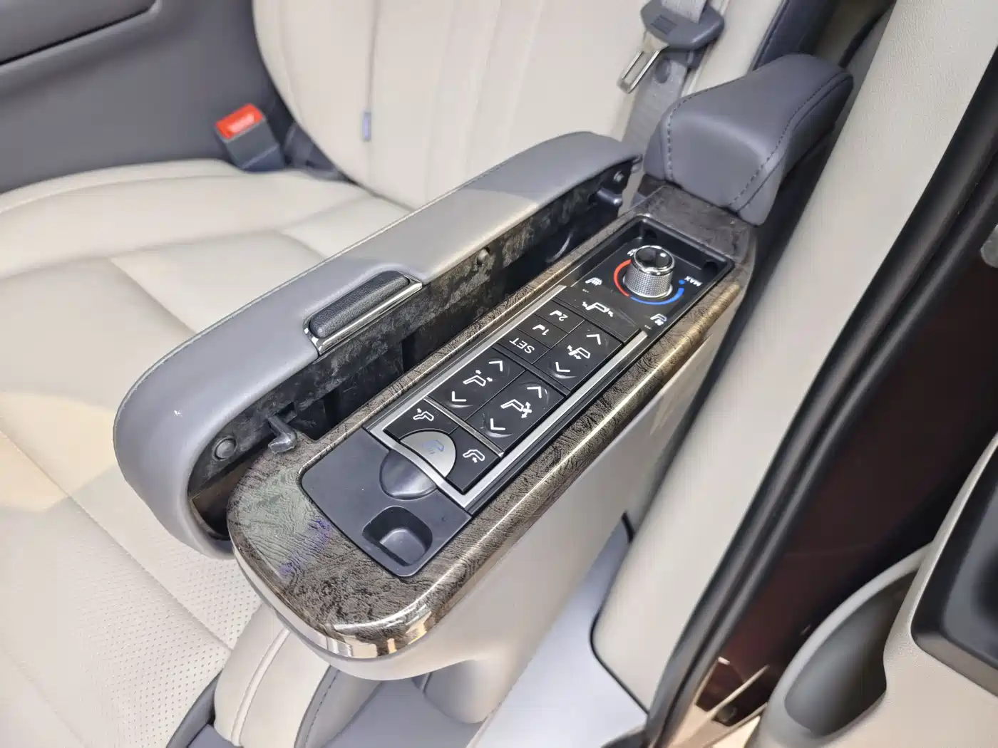 Buick GL8 2023 ES Landmaster Comfort фото 16