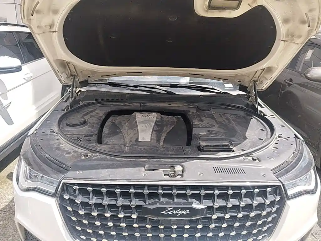 Zotye T700 2017 2017 1.8T DCT Prestige