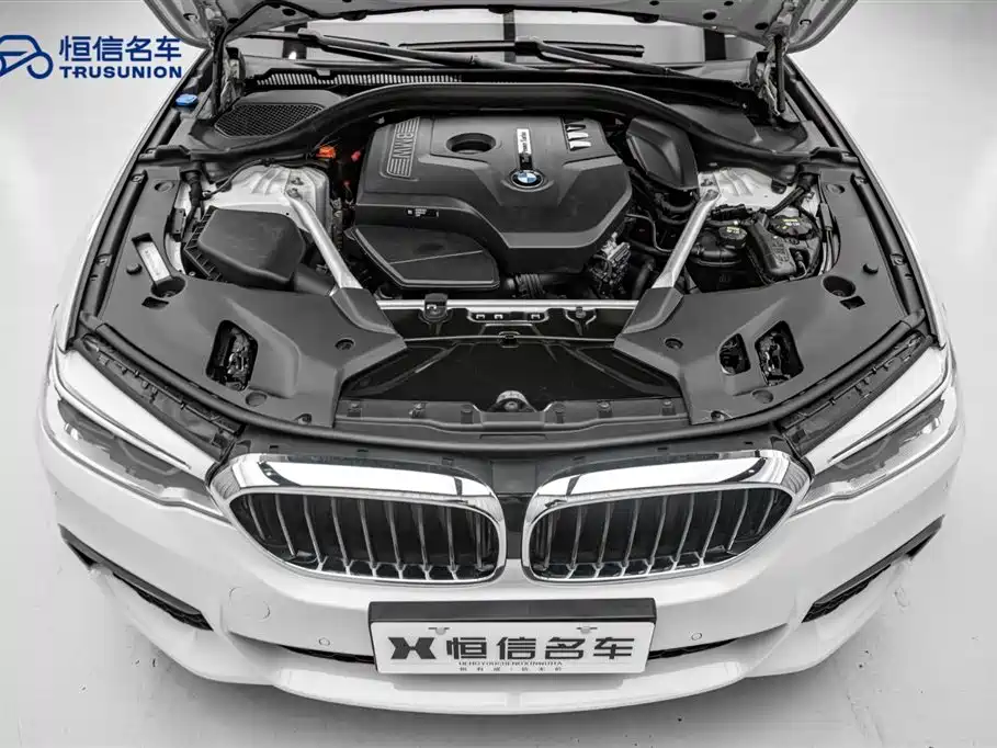 BMW 5 Series 2018 525Li M Sport Package фото 21