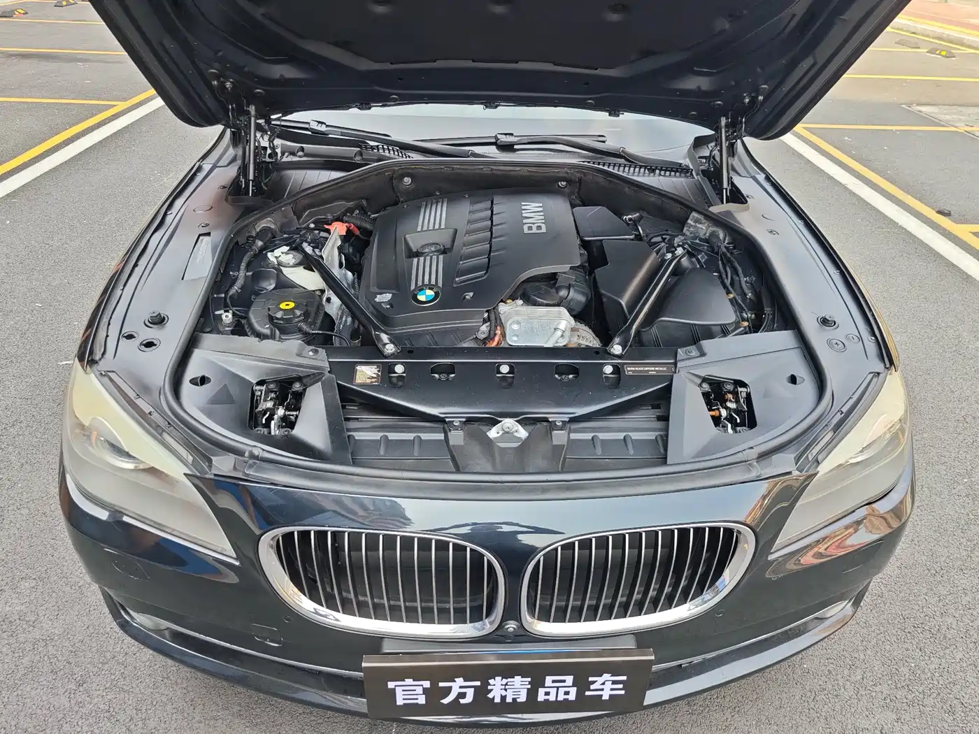 BMW 7 Series 2011 730Li Elegance фото 16