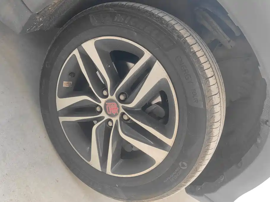 BYD Tang New Energy 2015 2015 2.0T 4WD Flagship