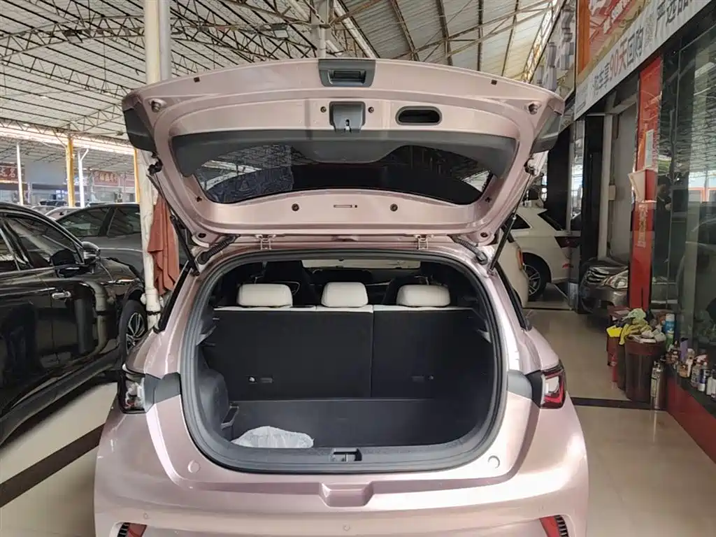 BYD Dolphin 2025 420km Fashion Edition фото 15