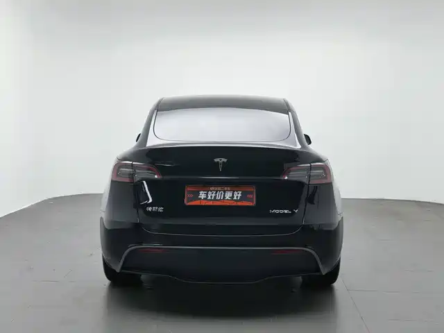Tesla Model Y 2022 Rear-Wheel Drive Version — фото 4