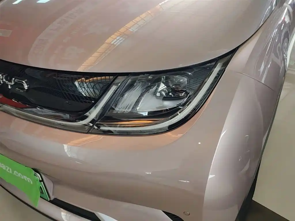 BYD Dolphin 2025 420km Fashion Edition фото 18