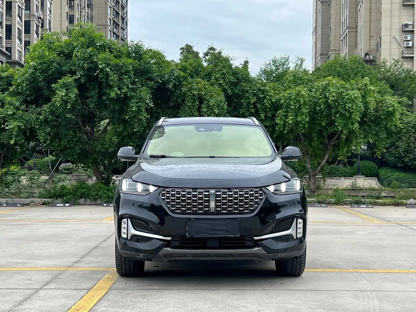 WEI PAI WEI BRAND VV6