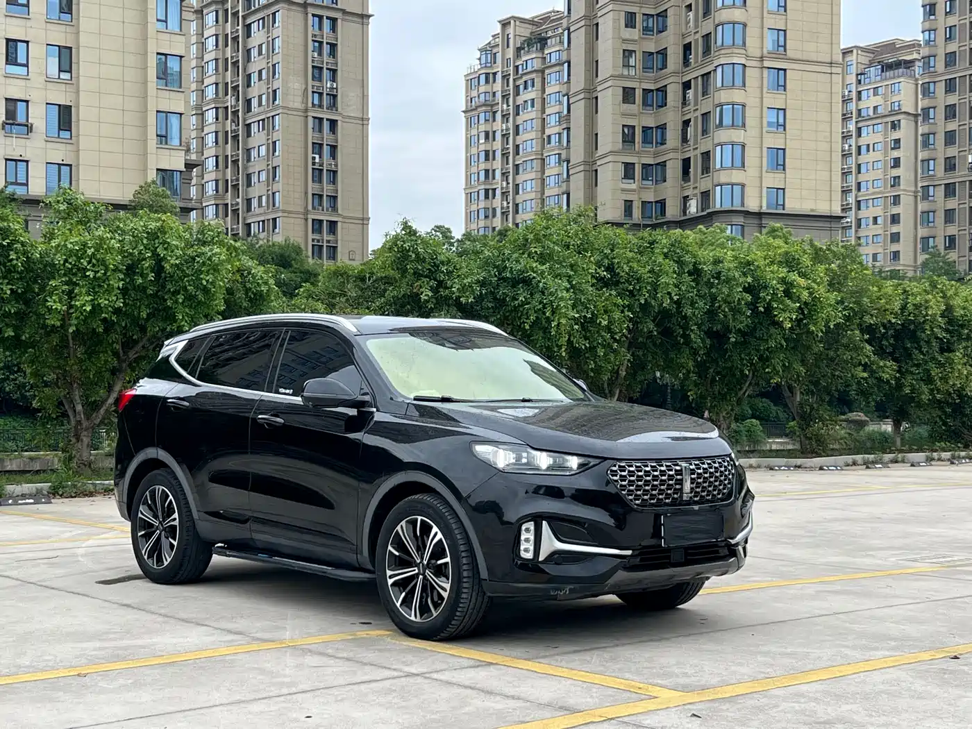 WEI PAI WEI BRAND VV6