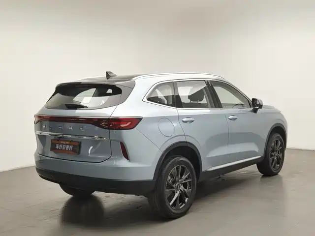 Haval H6 New Energy 2023 DHT-PHEV 110KM Smooth Edition — фото 2