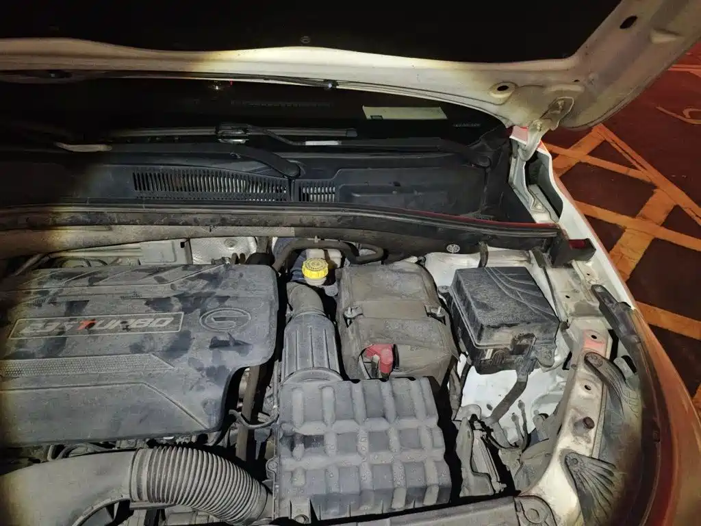 Фото 20 - GAC Trumpchi GS4